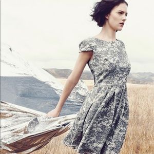 BETSEY JOHNSON Grey Lace Print Cap Sleeve Dress